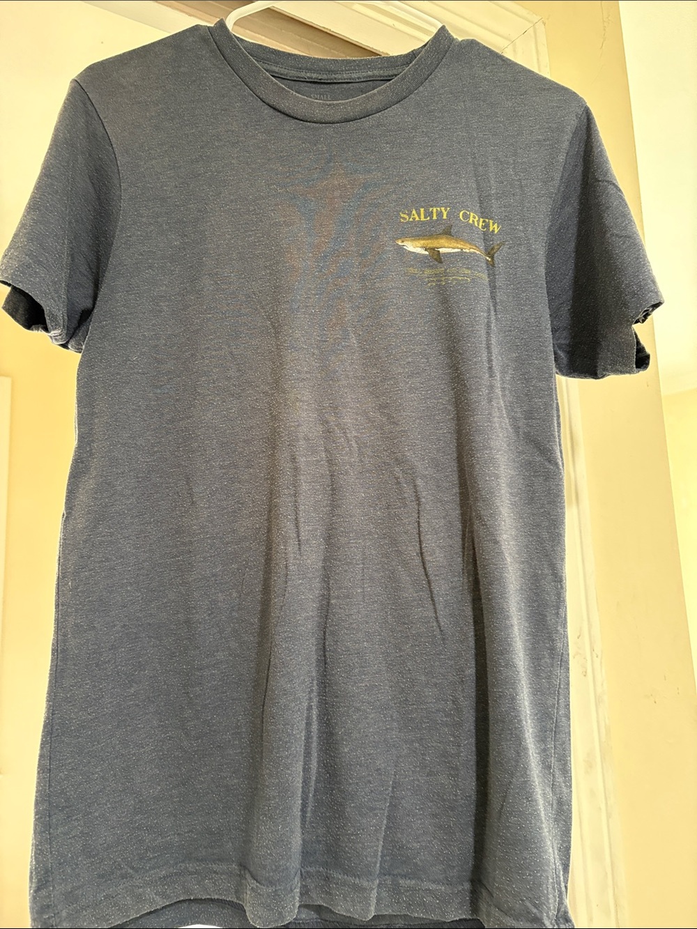 Salty Crew Blue Short Sleeve T-Shirt with Small Fish Chest Graphic